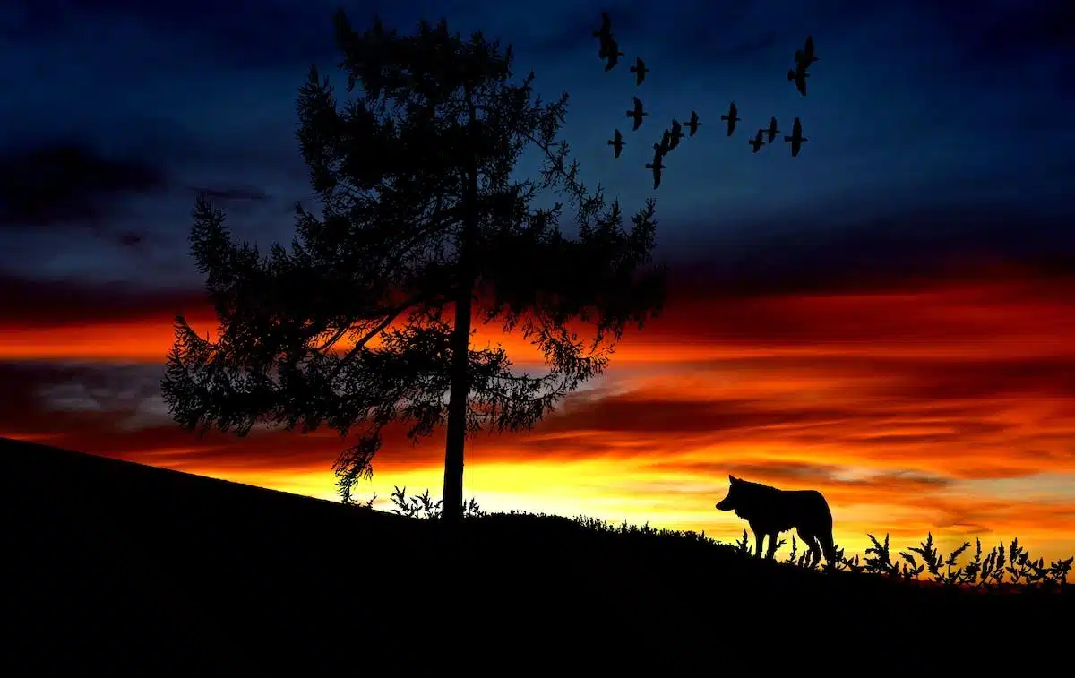 amoureux  paysage