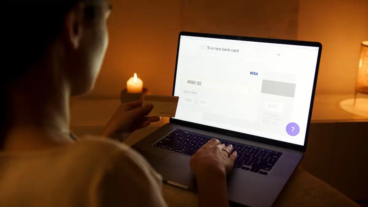 visa en ligne