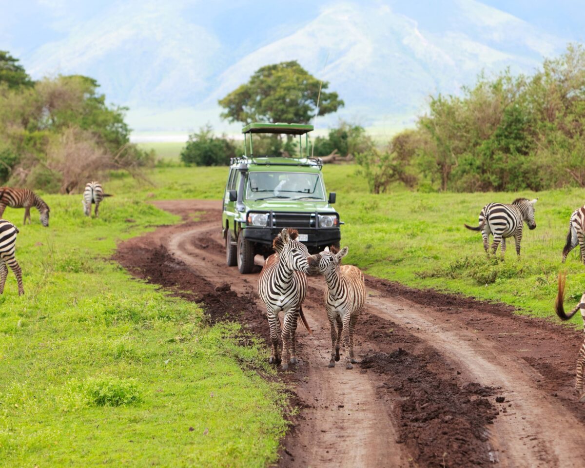 Comment préparer un safari au Kenya