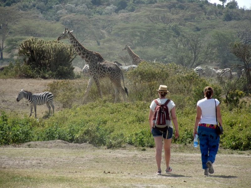 Comment préparer un safari au Kenya