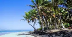 République dominicaine All inclusive Club Med où trouver les meilleurs tarifs
