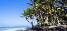République dominicaine All inclusive Club Med où trouver les meilleurs tarifs