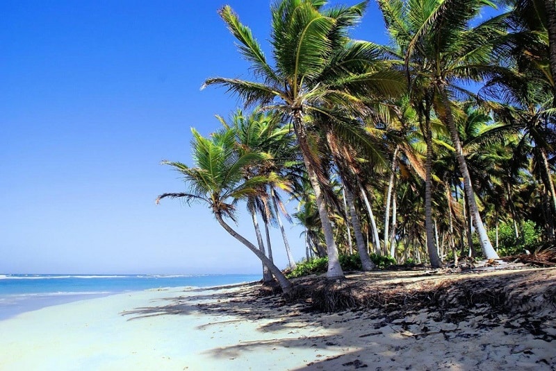 République dominicaine All inclusive Club Med où trouver les meilleurs tarifs