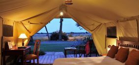 Quel sont les types d'hébergement proposés pour un safari au Kenya ?