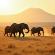 Herde d'éléphants dans la savane avec Kilimanjaro en arrière-plan