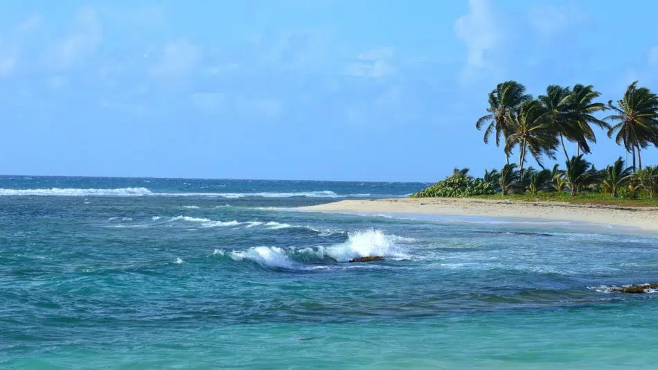 Pourquoi effectuer une excursion en bateau en Guadeloupe ?