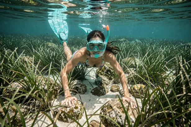 Femme faisant du snorkeling au-dessus des herbiers de posidonie à l'île de Porquerolles, vue sous-marine grand angle
