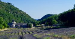 paysage de Provence